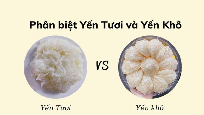 Ảnh minh họa tổ yến tươi và tổ yến khô giúp người tiêu dùng dễ lựa chọn.